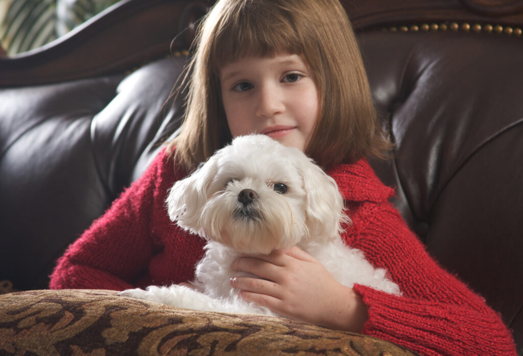 Young Girl Poses with Her Maltese Dog